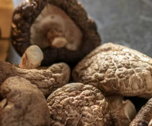 Shiitake Mushrooms: Natural Immunity & Heart Boosters